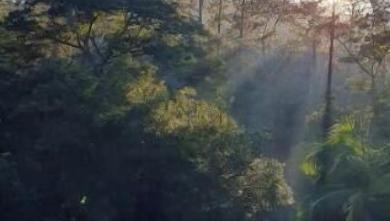 Photo of Others in Itapecerica da Serra