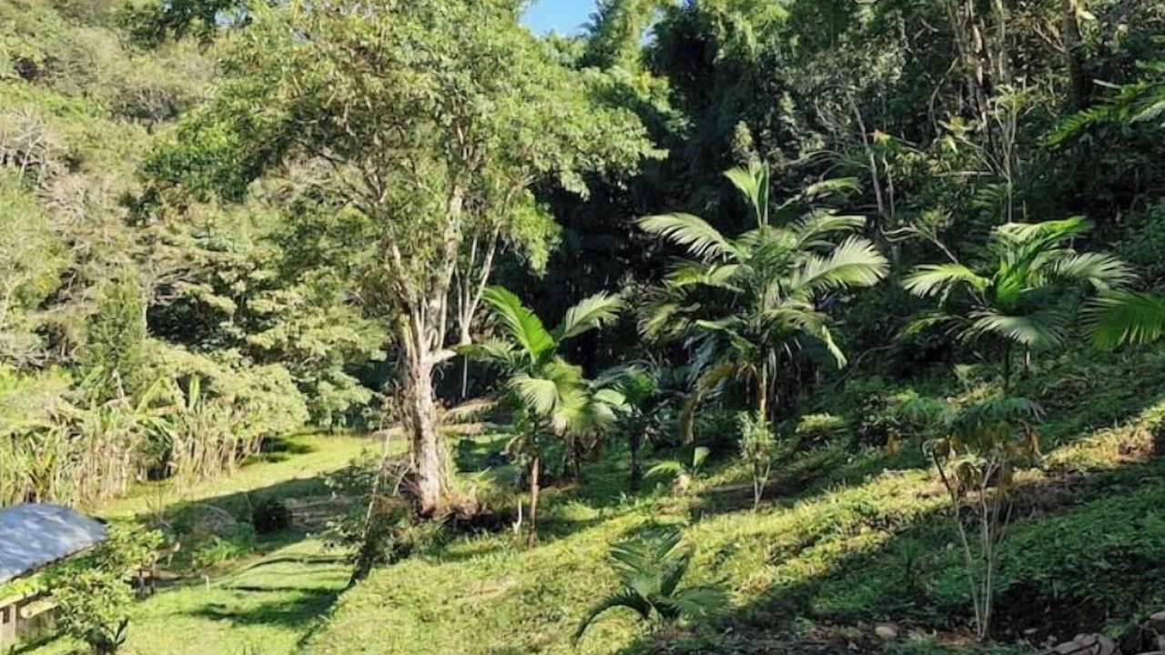 Photo of Outdoor in Itapecerica da Serra