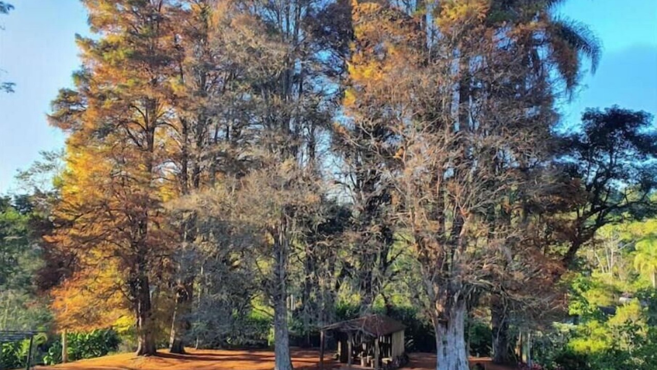 Photo of Others in Itapecerica da Serra