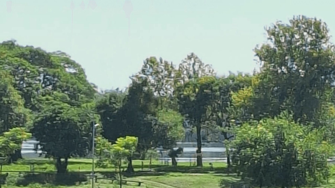 Photo of Others in Santo Tome Department