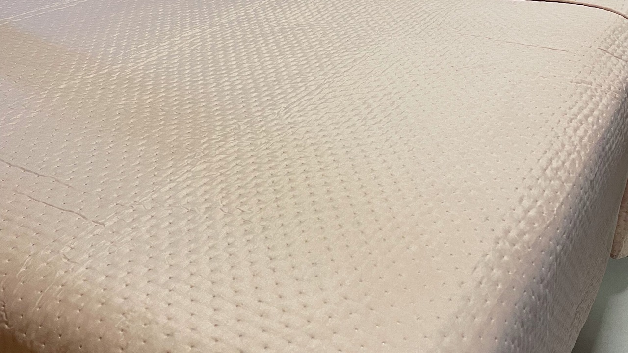 Photo of Others in Aguas Claras
