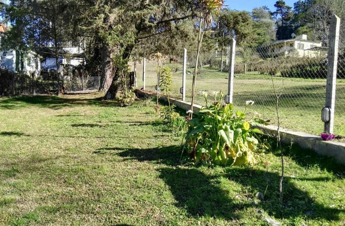 Photo of Outdoor in Raco