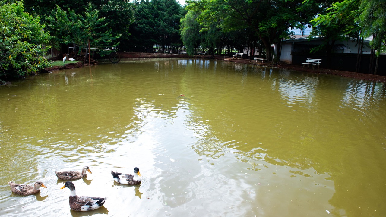 Photo of Outdoor in Jardim Paineiras