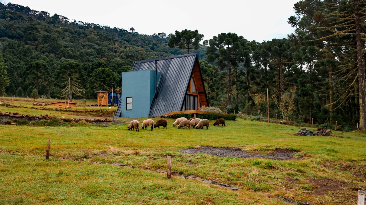 Photo of Outdoor in Urubici