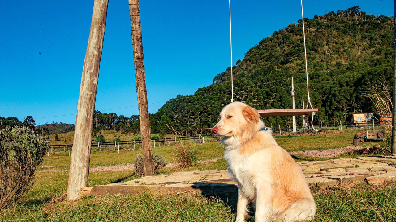 Photo of Outdoor in Urubici
