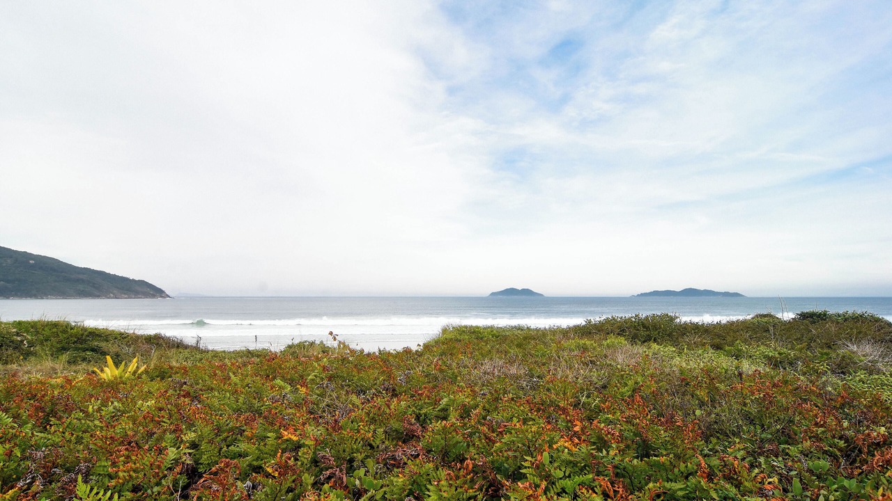 Photo of Others in Acores