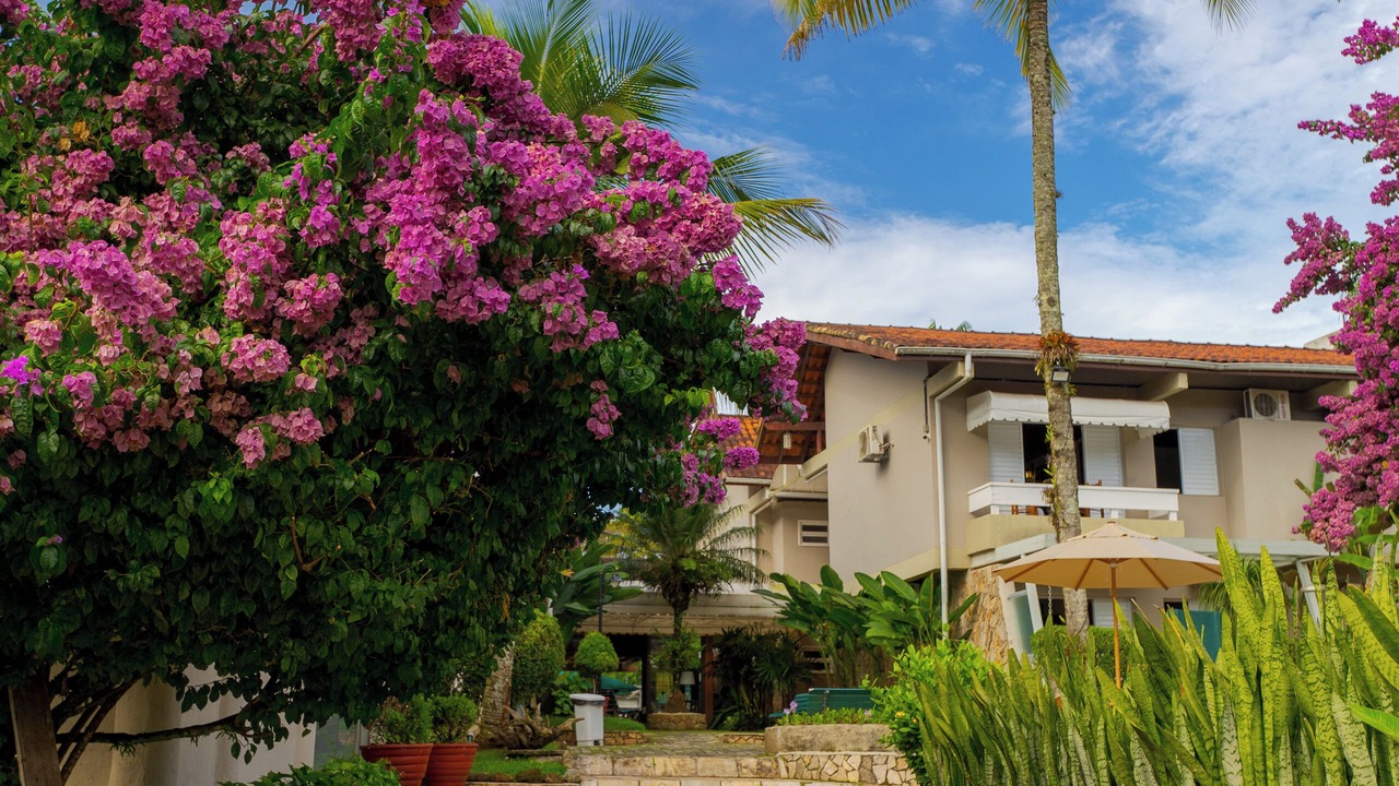 Photo of Outdoor in Barra do Una