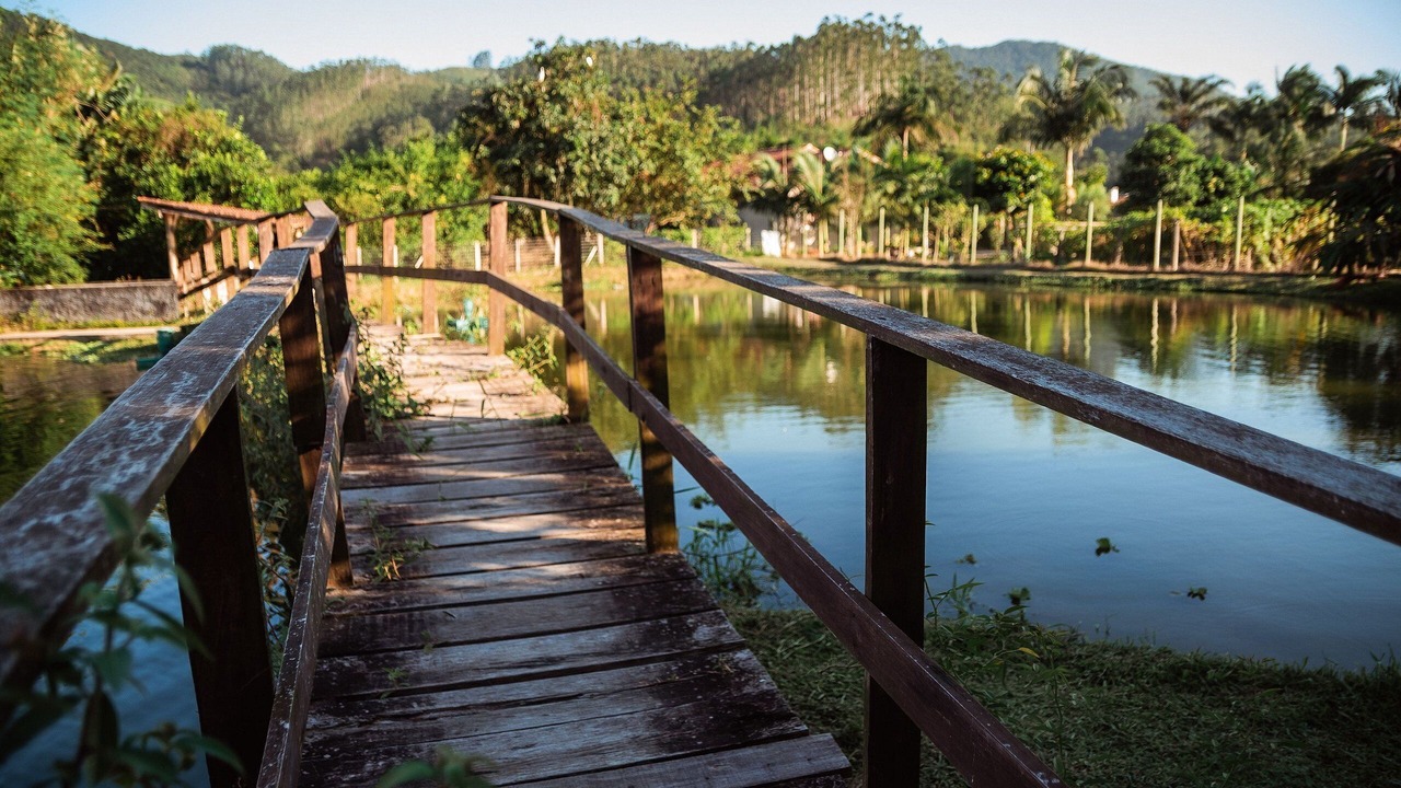 Photo of Outdoor in Sao Joao Batista
