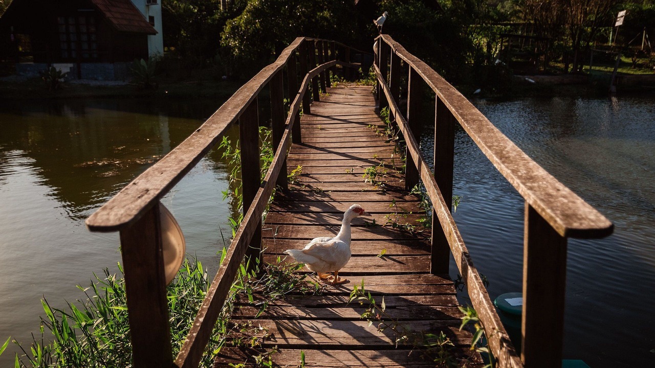 Photo of Outdoor in Sao Joao Batista