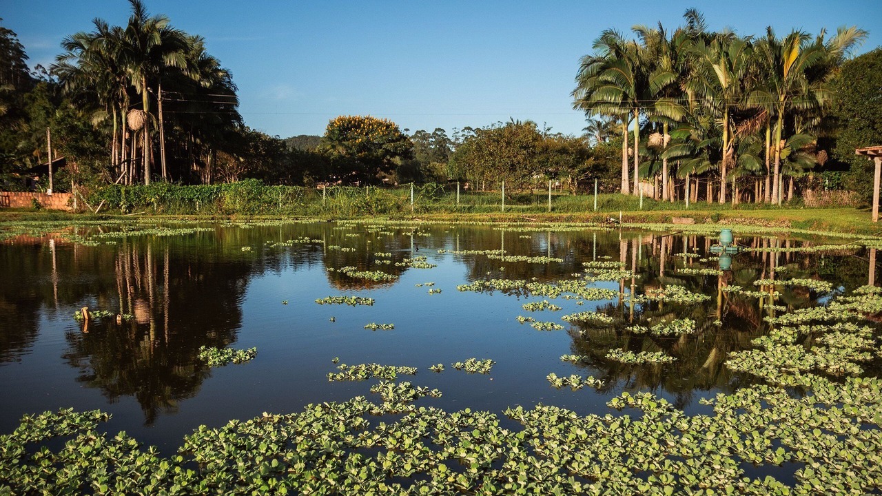 Photo of Outdoor in Sao Joao Batista