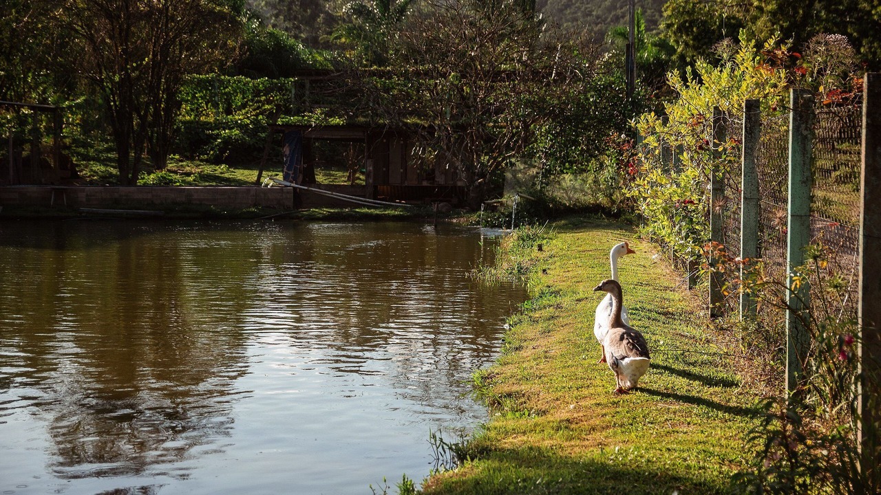Photo of Outdoor in Sao Joao Batista