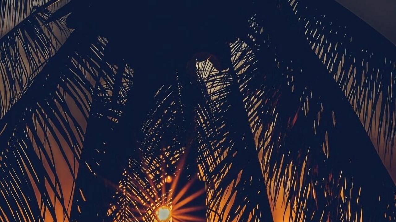 Photo of Others in Gamboa