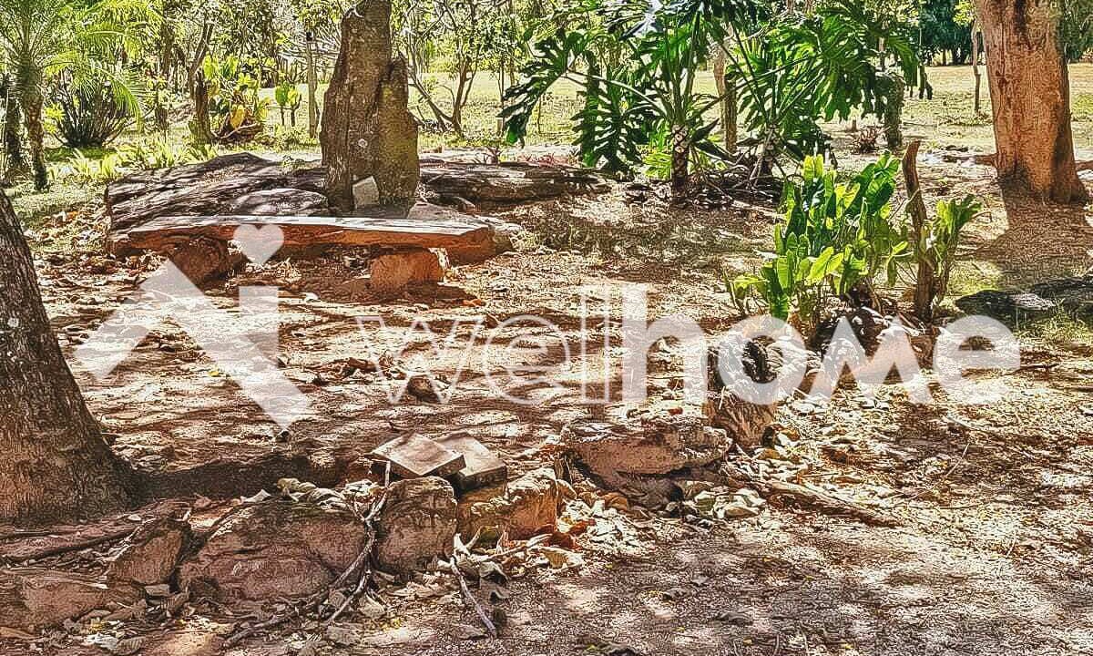 Photo of Outdoor in Pirenopolis