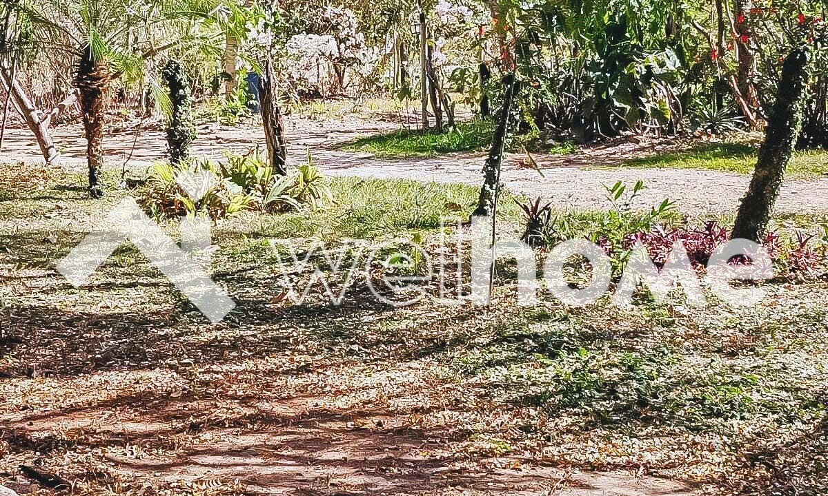 Photo of Outdoor in Pirenopolis