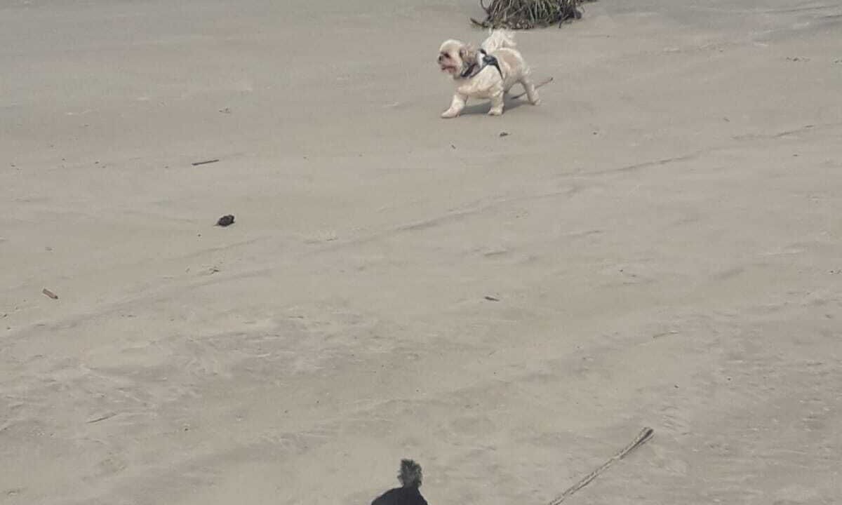 Photo of Others in Iguape
