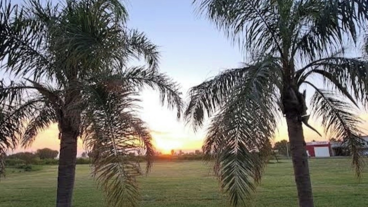 Photo of Outdoor in Miramar