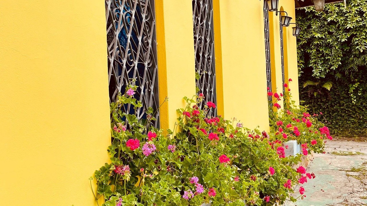 Photo of Outdoor in Jardim Nova Suica