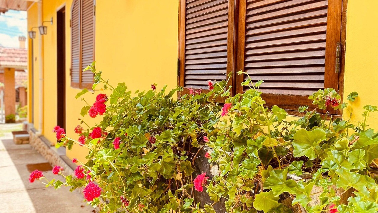 Photo of Outdoor in Jardim Nova Suica