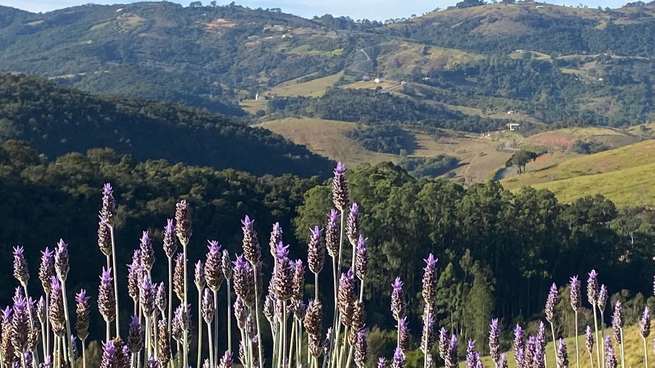 Photo of Outdoor in Cunha