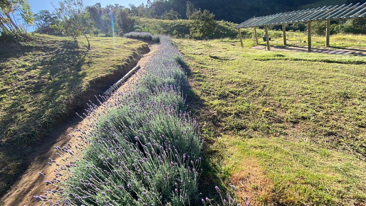 Photo of Outdoor in Cunha