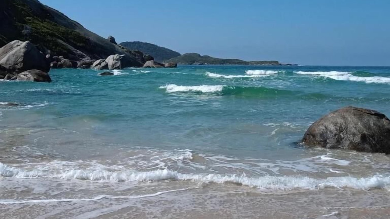 Photo of Others in Rio Vermelho Norte
