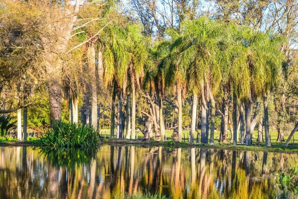 Photo of Outdoor in Chajari