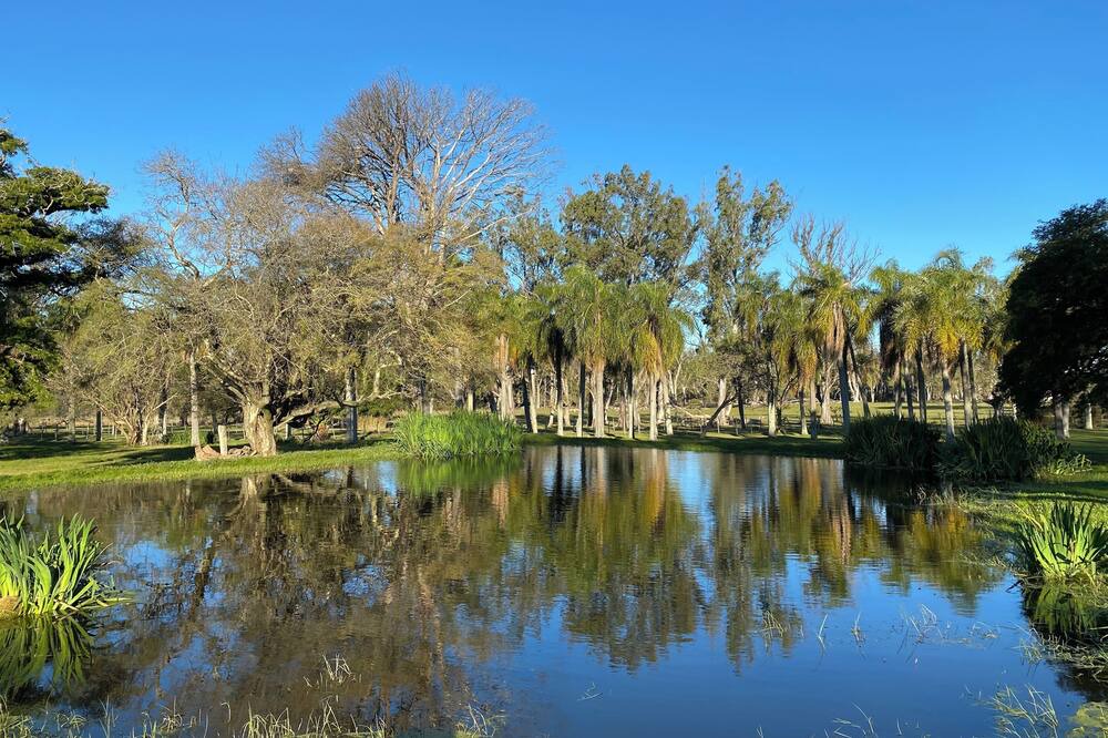 Photo of Outdoor in Chajari