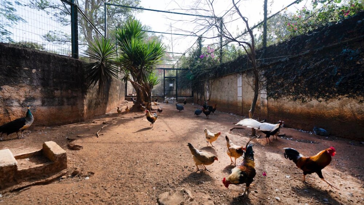 Photo of Outdoor in Braganca Paulista