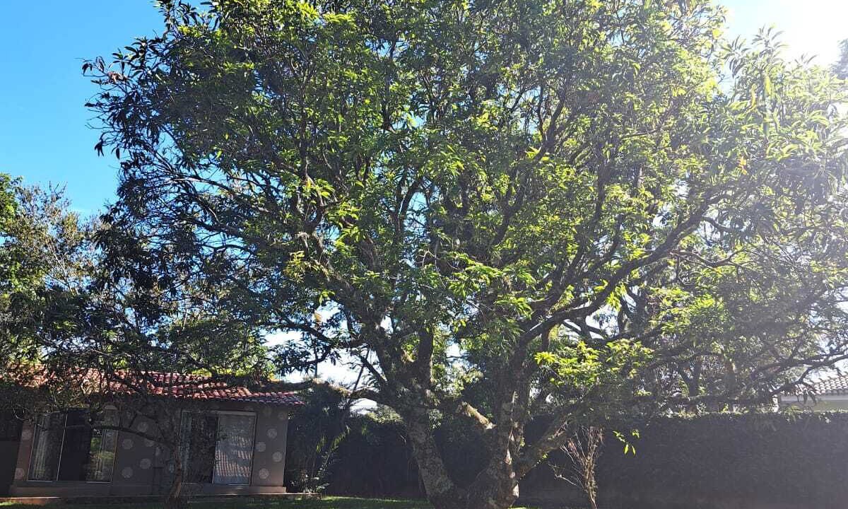 Photo of Outdoor in Sorocaba