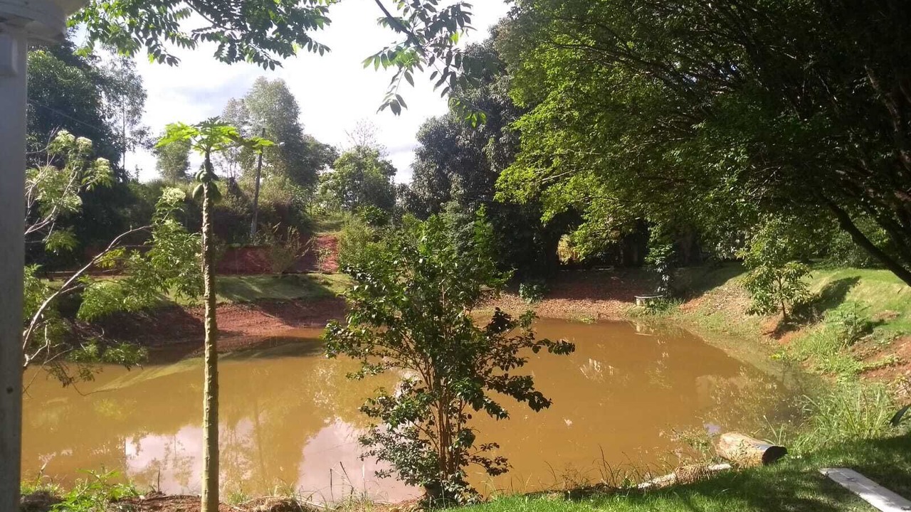 Photo of Outdoor in Alegre