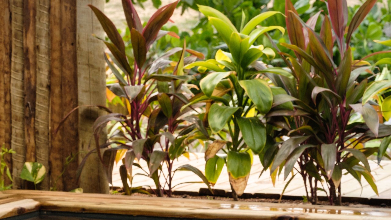 Photo of Outdoor in Moitas