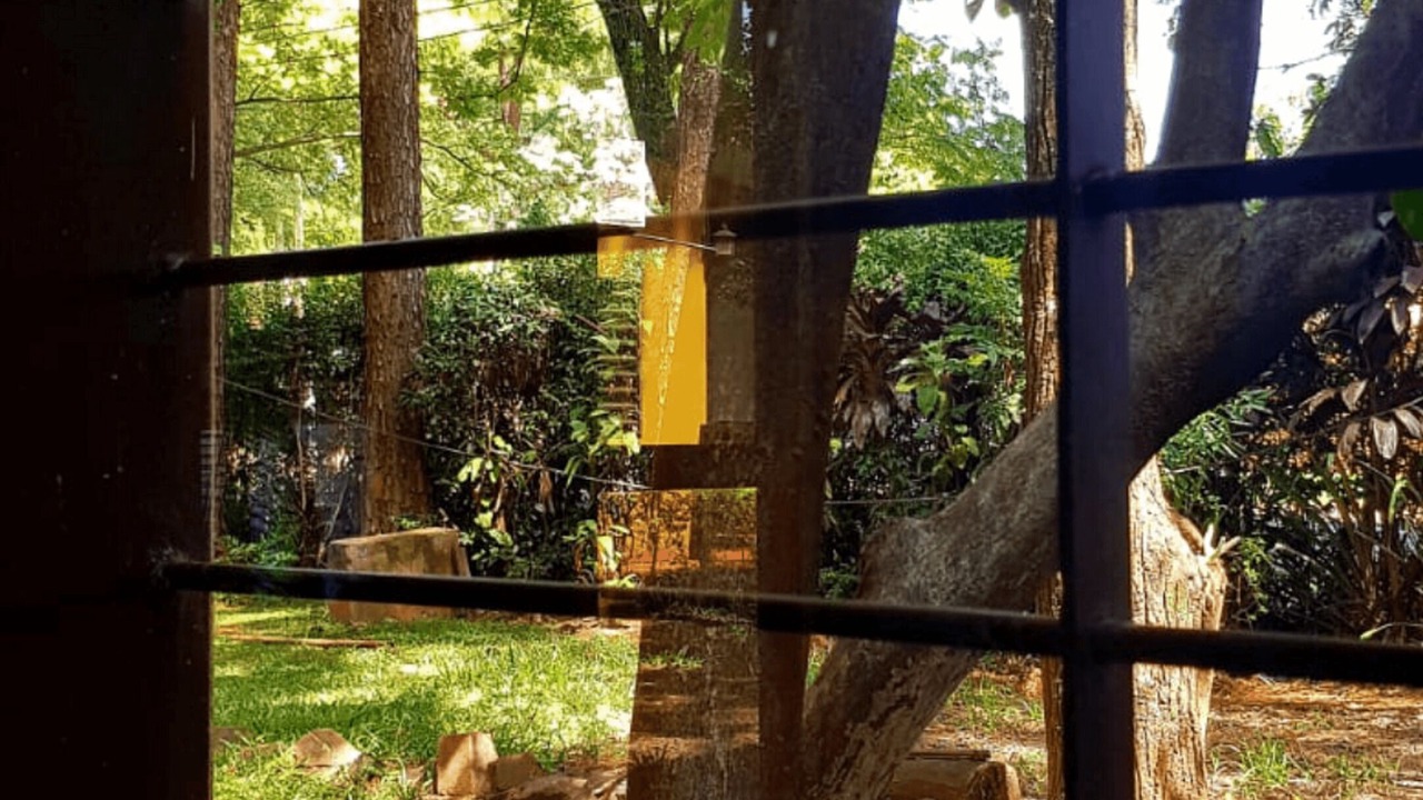 Photo of Outdoor in Posadas
