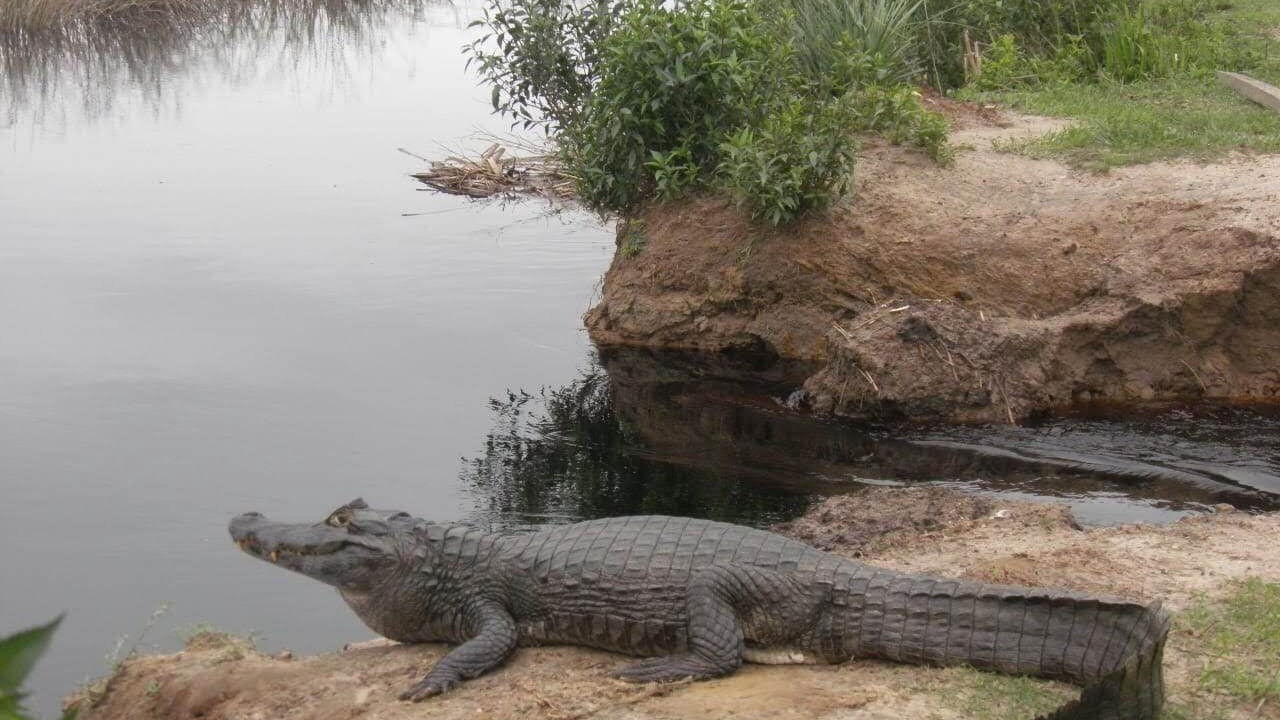 Photo of Outdoor in Ituzaingo