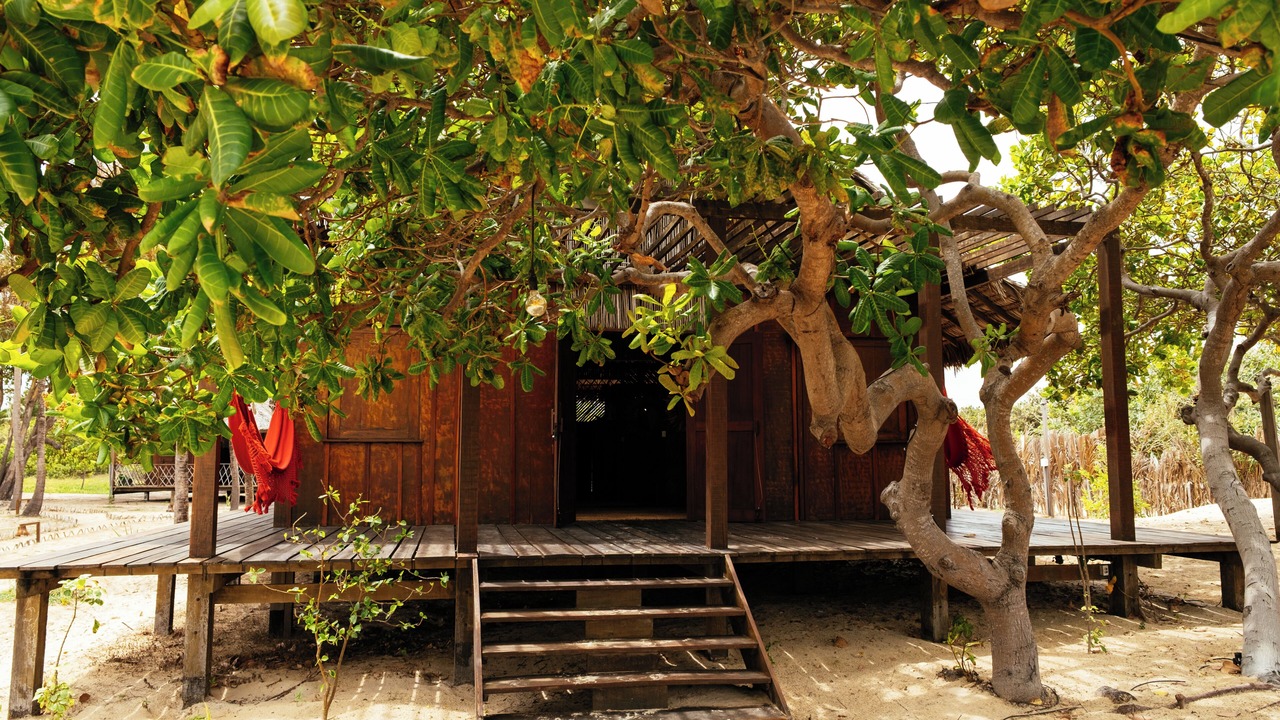 Photo of Outdoor in Atins