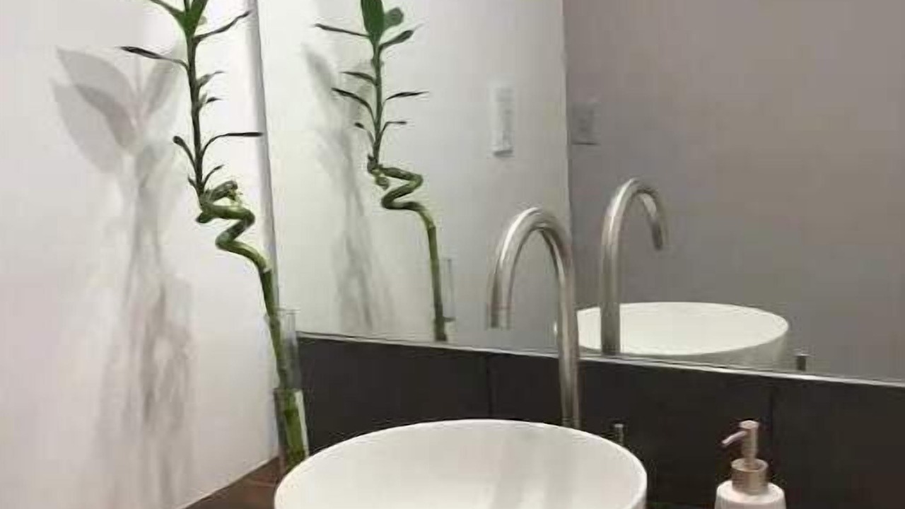 Photo of Bathroom in Dorrego