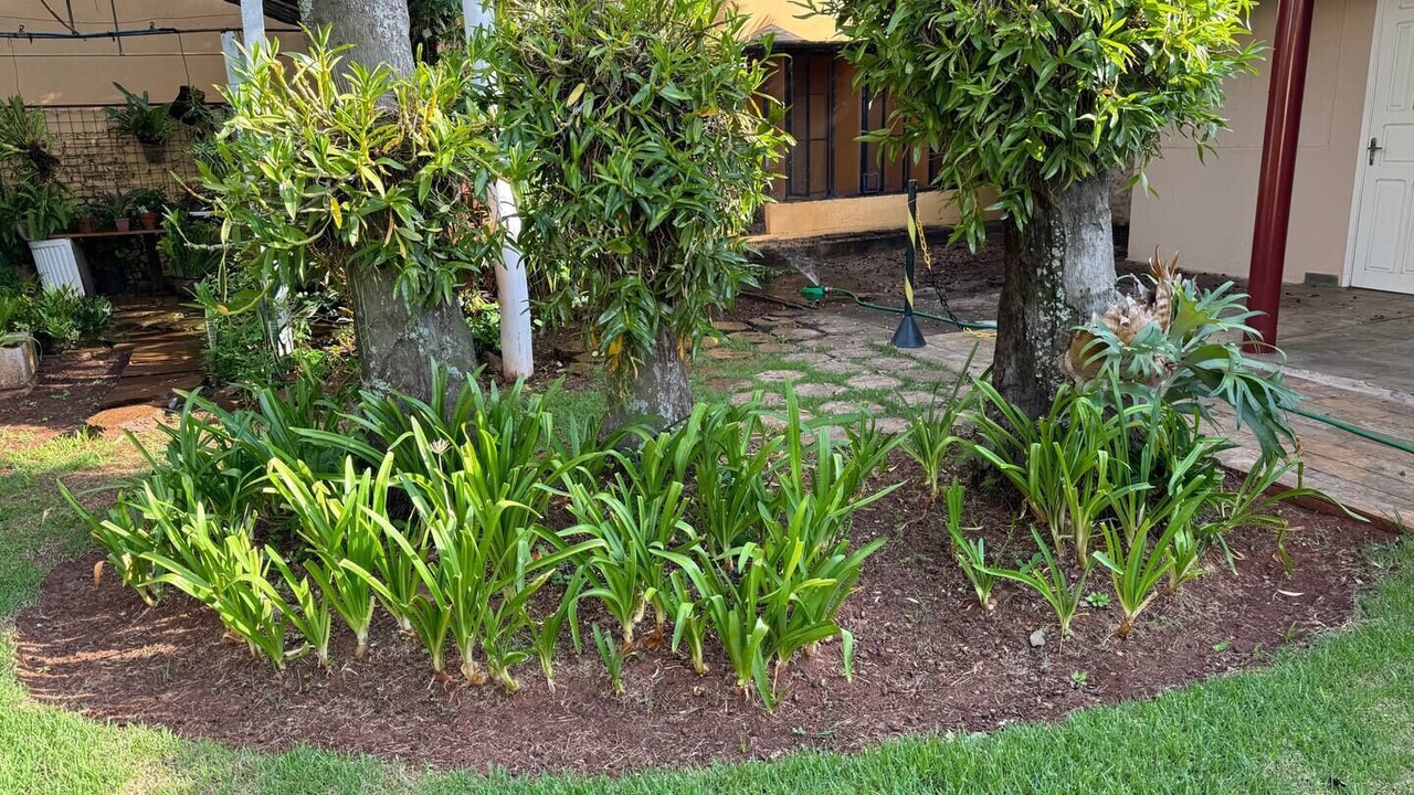 Photo of Outdoor in Araraquara
