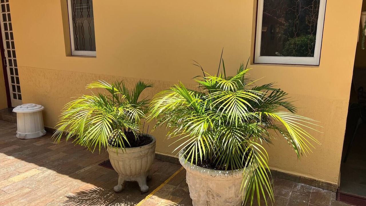 Photo of Outdoor in Araraquara