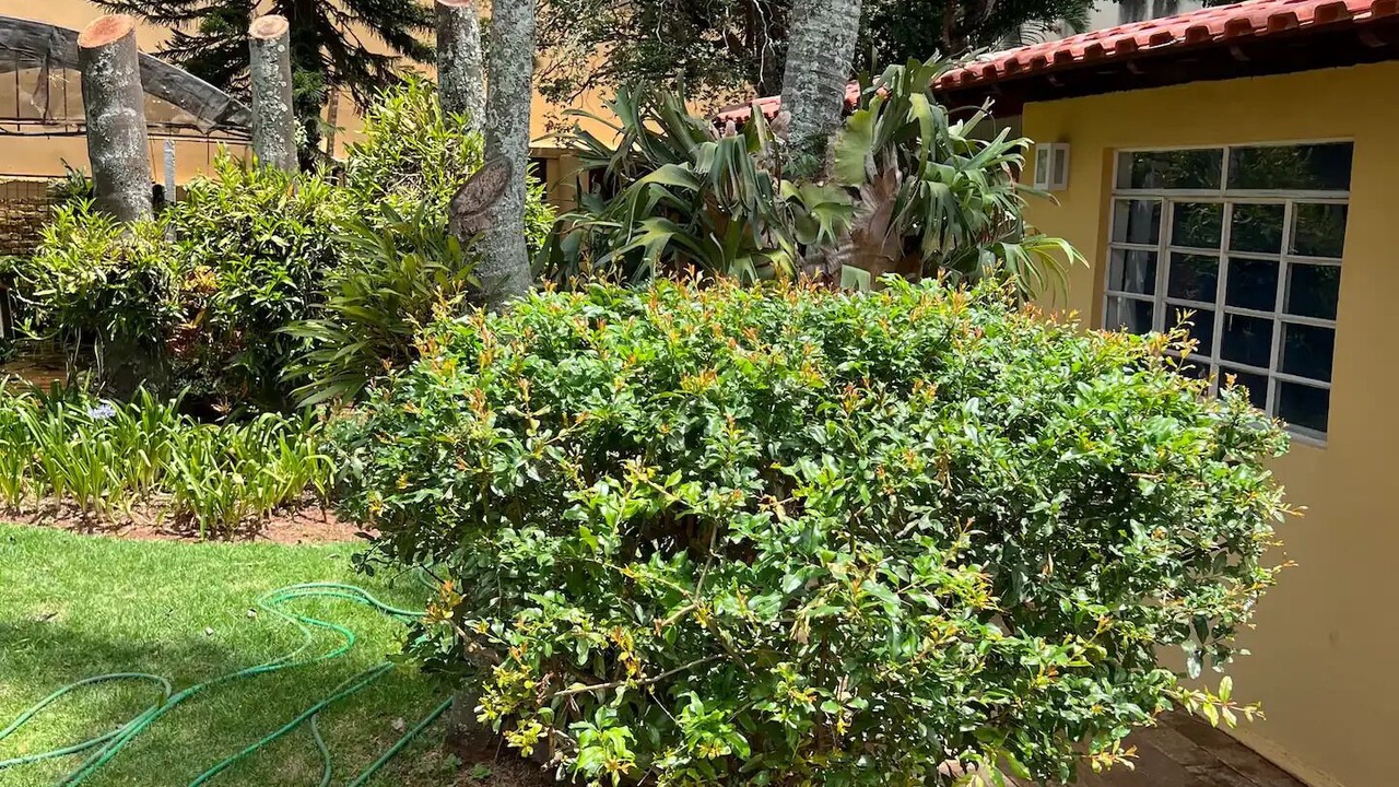 Photo of Outdoor in Araraquara
