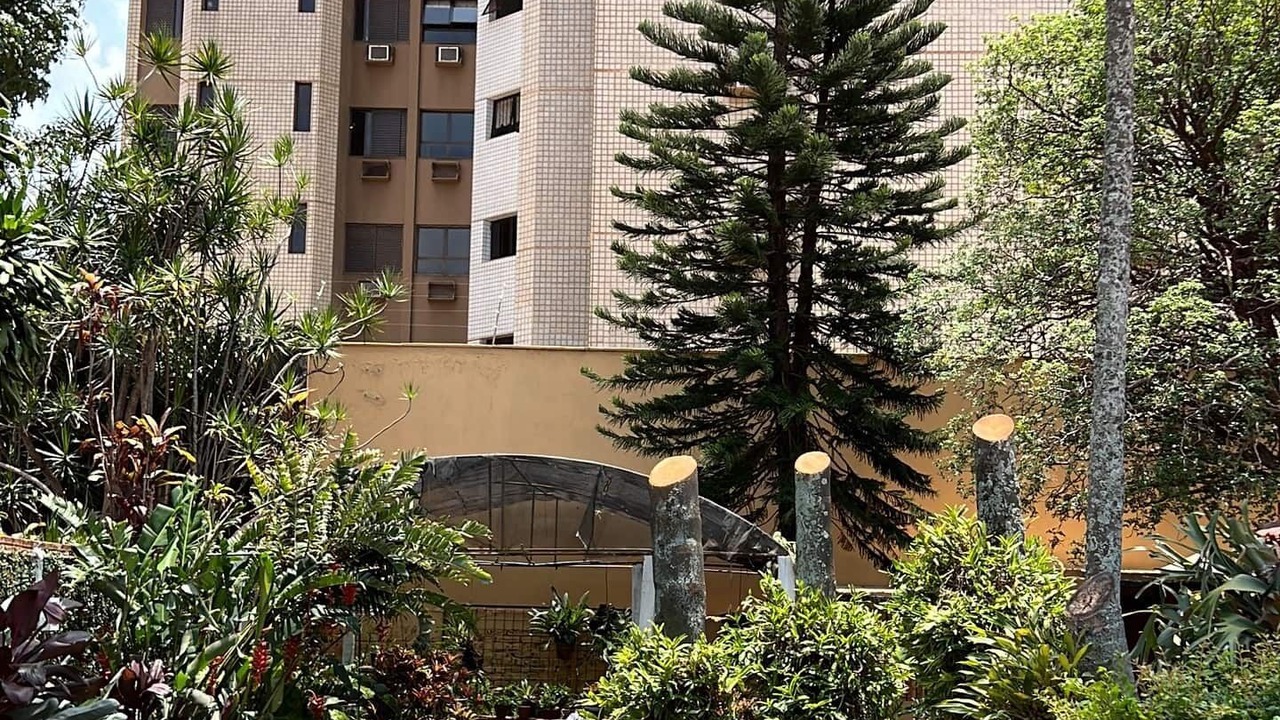 Photo of Outdoor in Araraquara