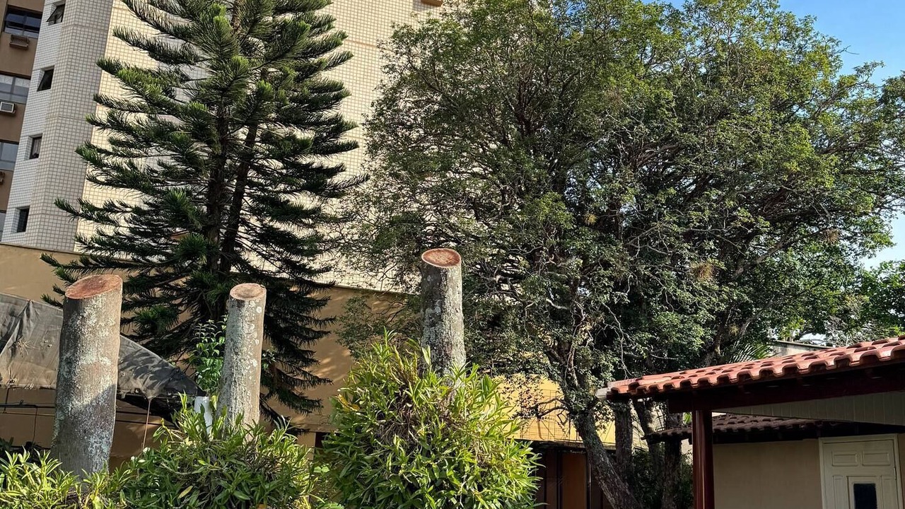 Photo of Outdoor in Araraquara