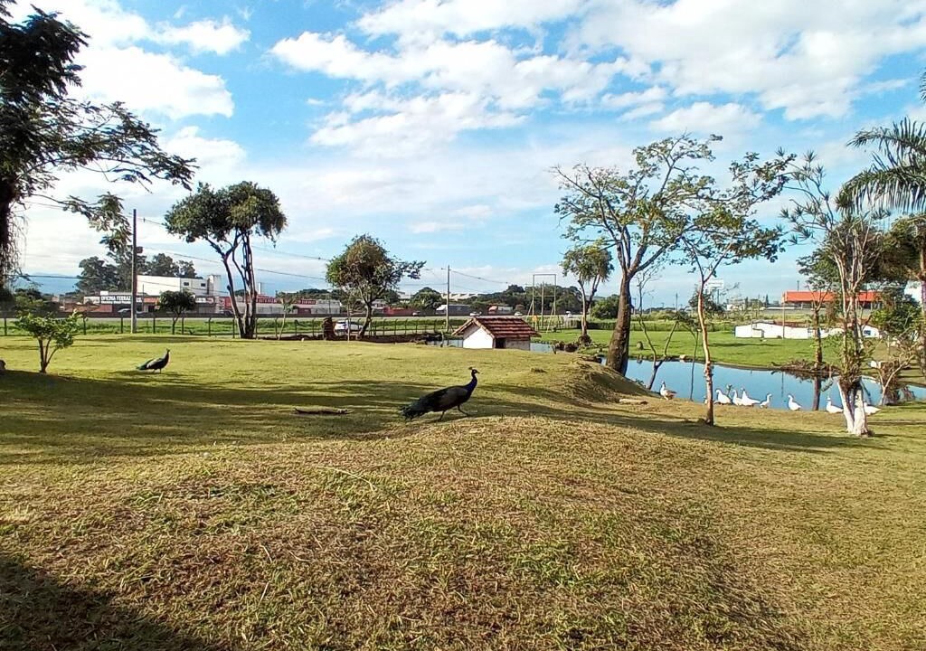 Photo of Outdoor in Guaratingueta