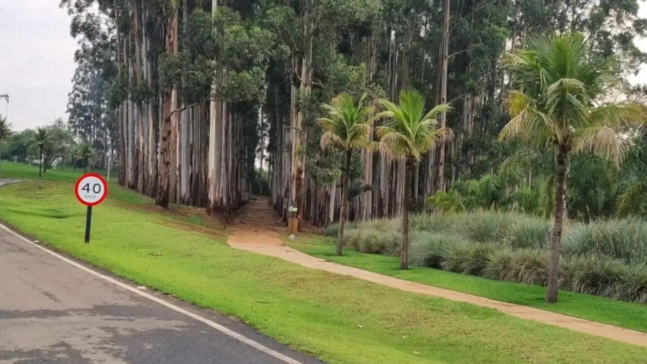 Photo of Outdoor in Itai