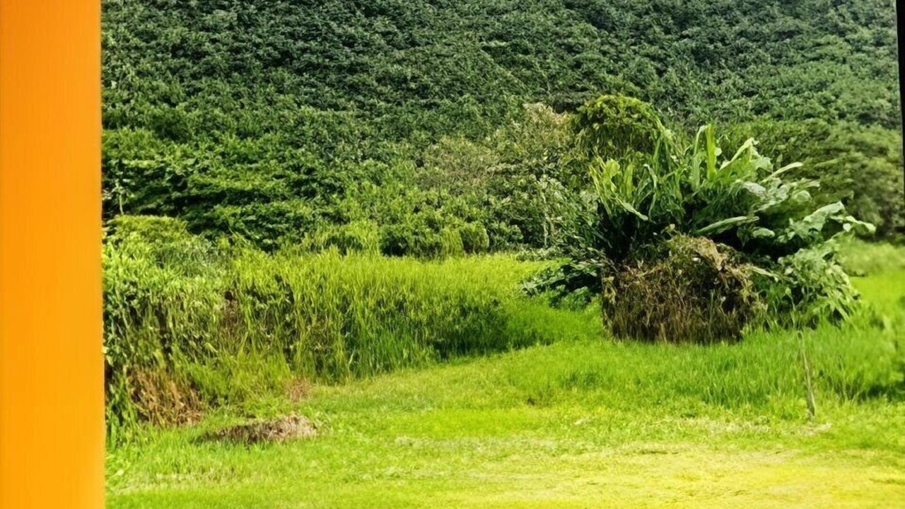 Photo of Others in Rio Vermelho Sul