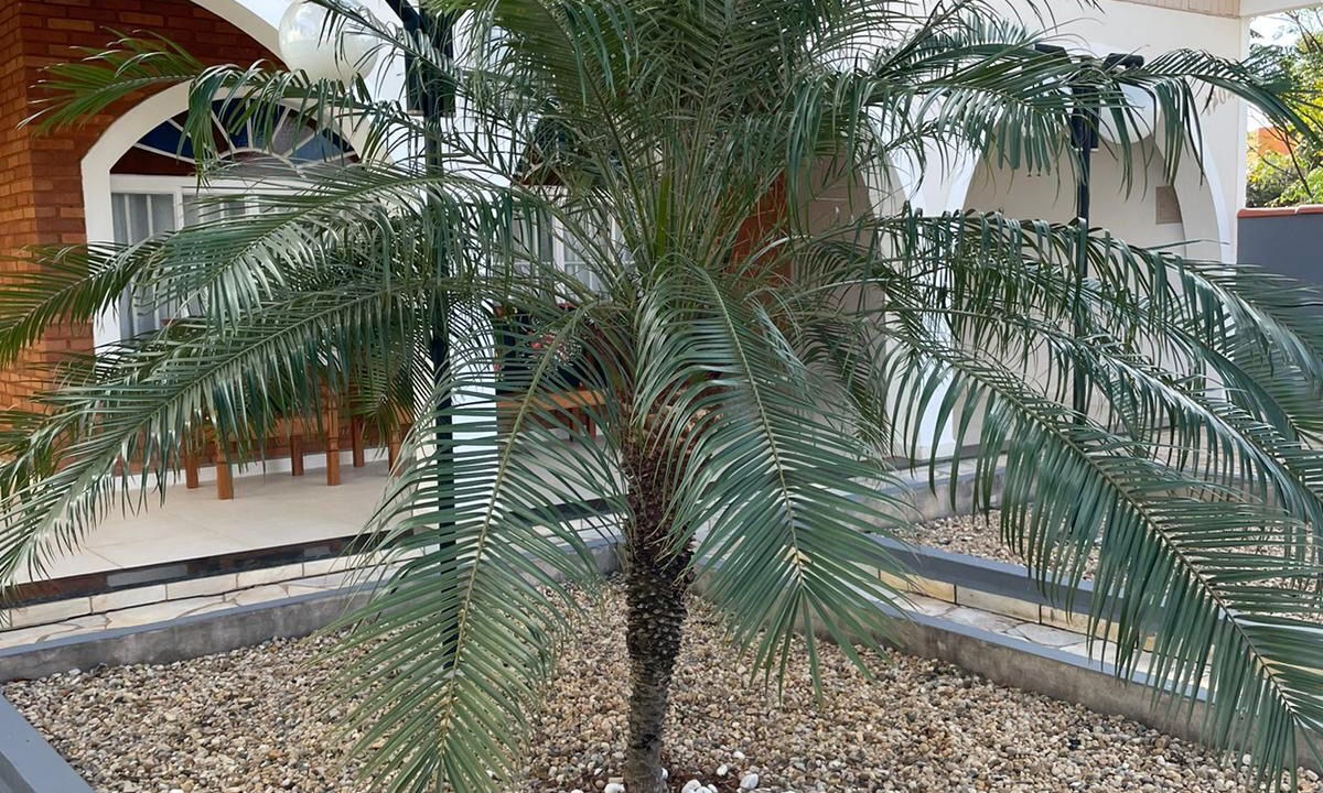 Photo of Outdoor in Sao Pedro