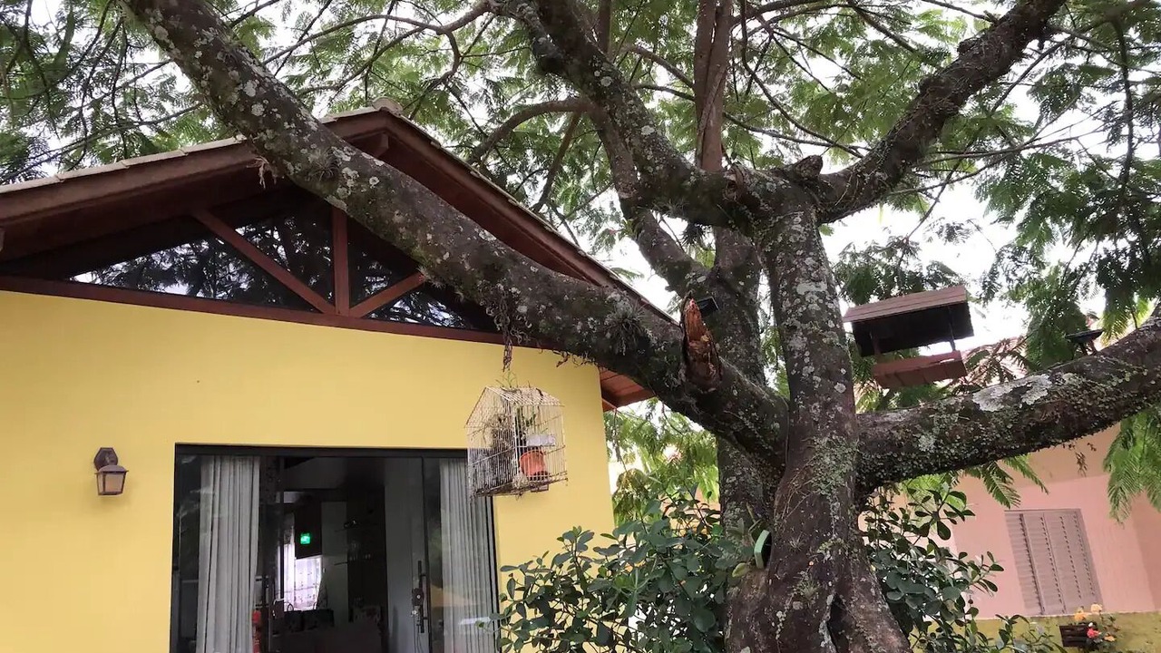 Photo of Outdoor in Paulo Lopes