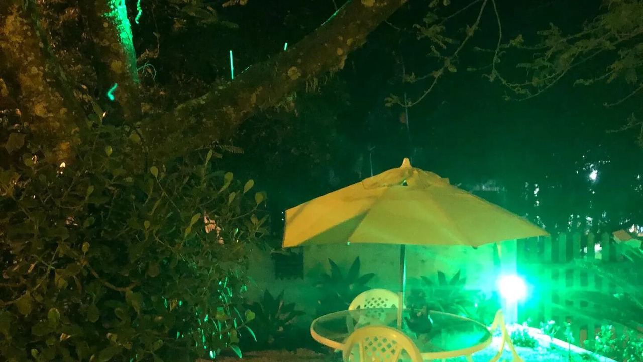 Photo of Outdoor in Paulo Lopes