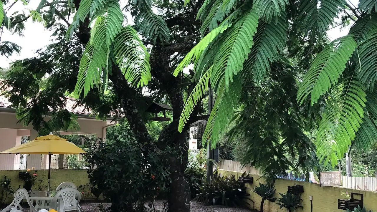 Photo of Outdoor in Paulo Lopes