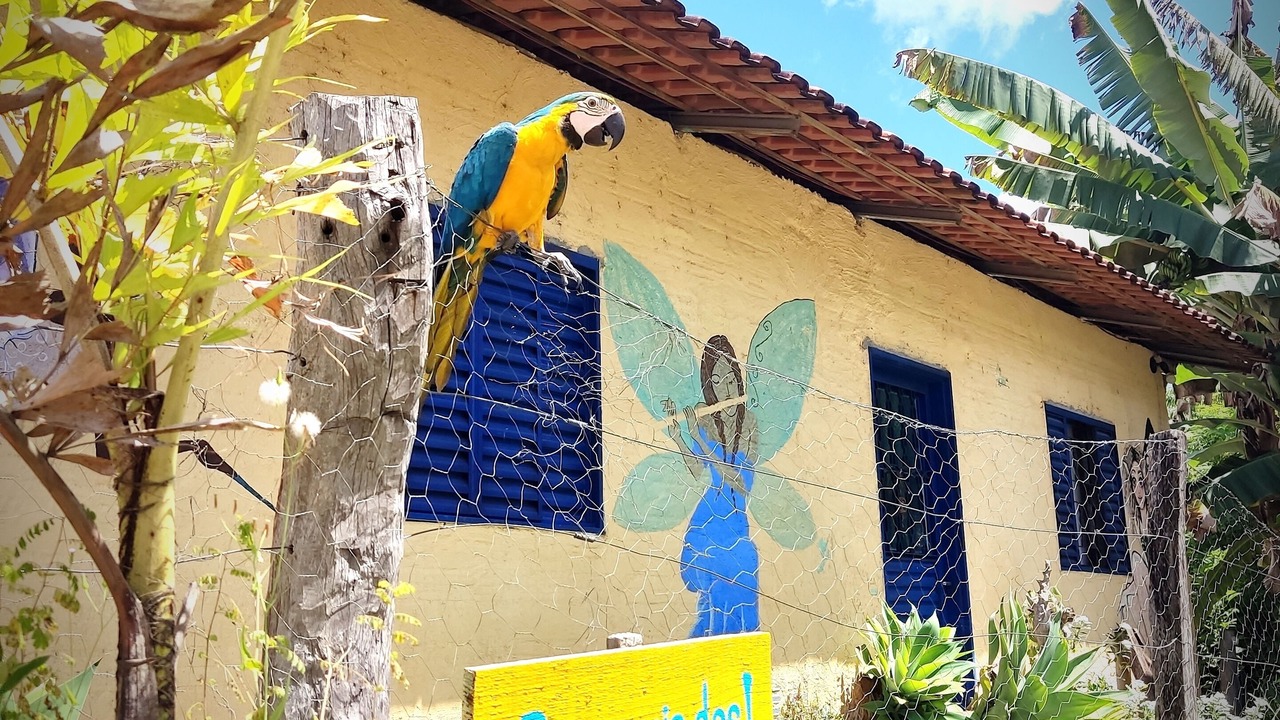 Photo of Outdoor in Cavalcante