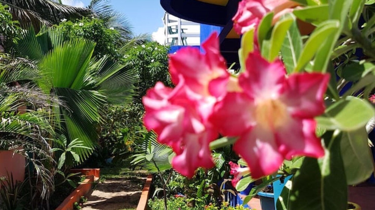 Photo of Outdoor in Canoa Quebrada