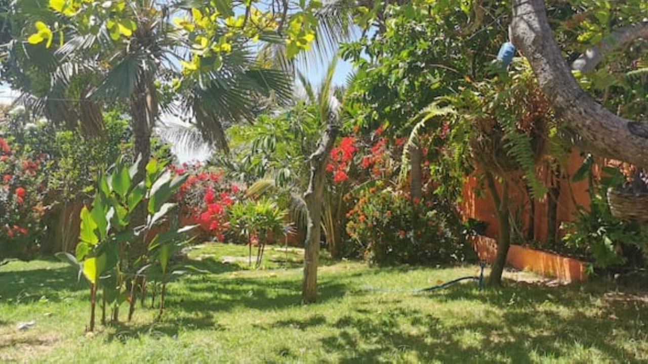 Photo of Outdoor in Canoa Quebrada